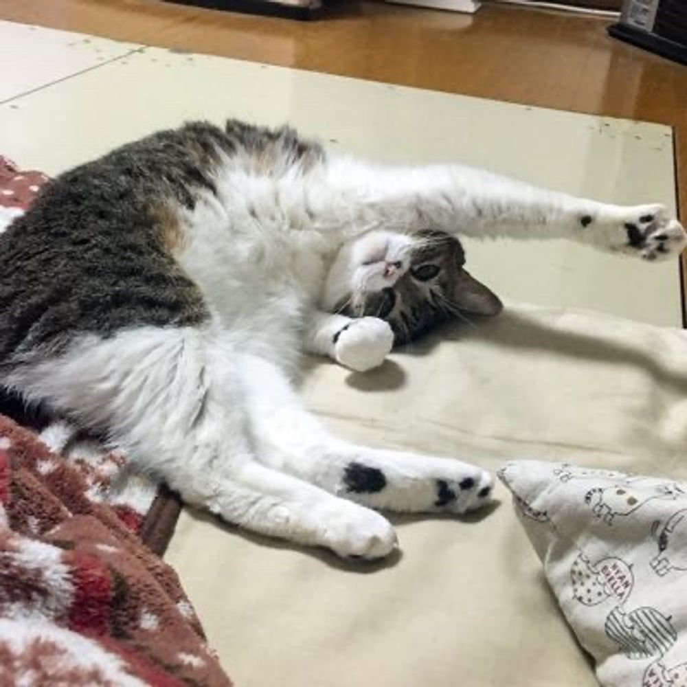 昼月(昼間の月)