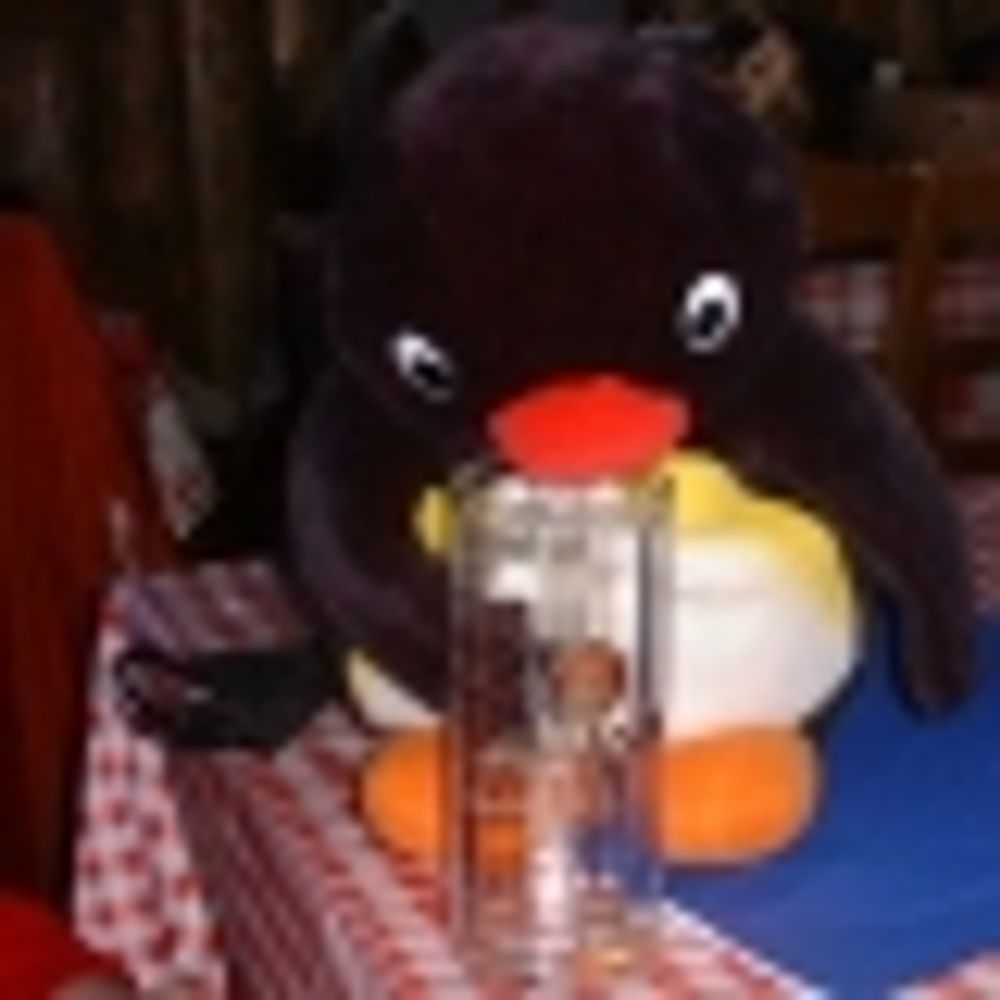 Pingu