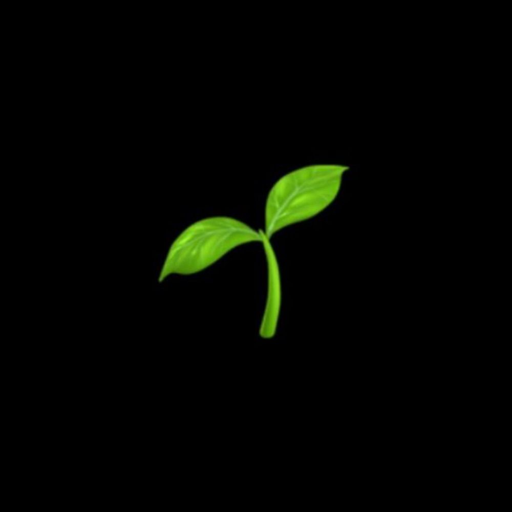 basil