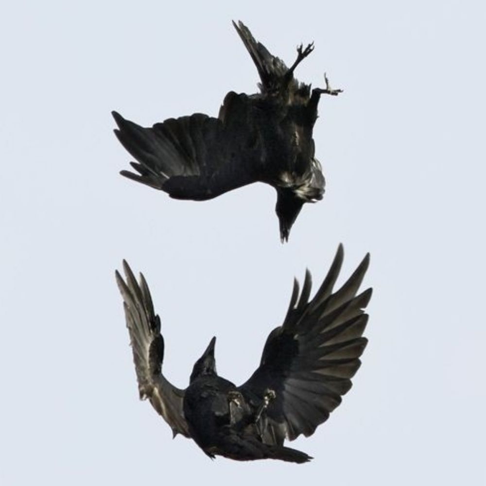 수평선