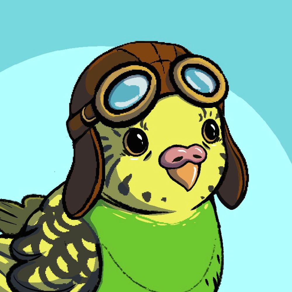 Ready Parakeet!