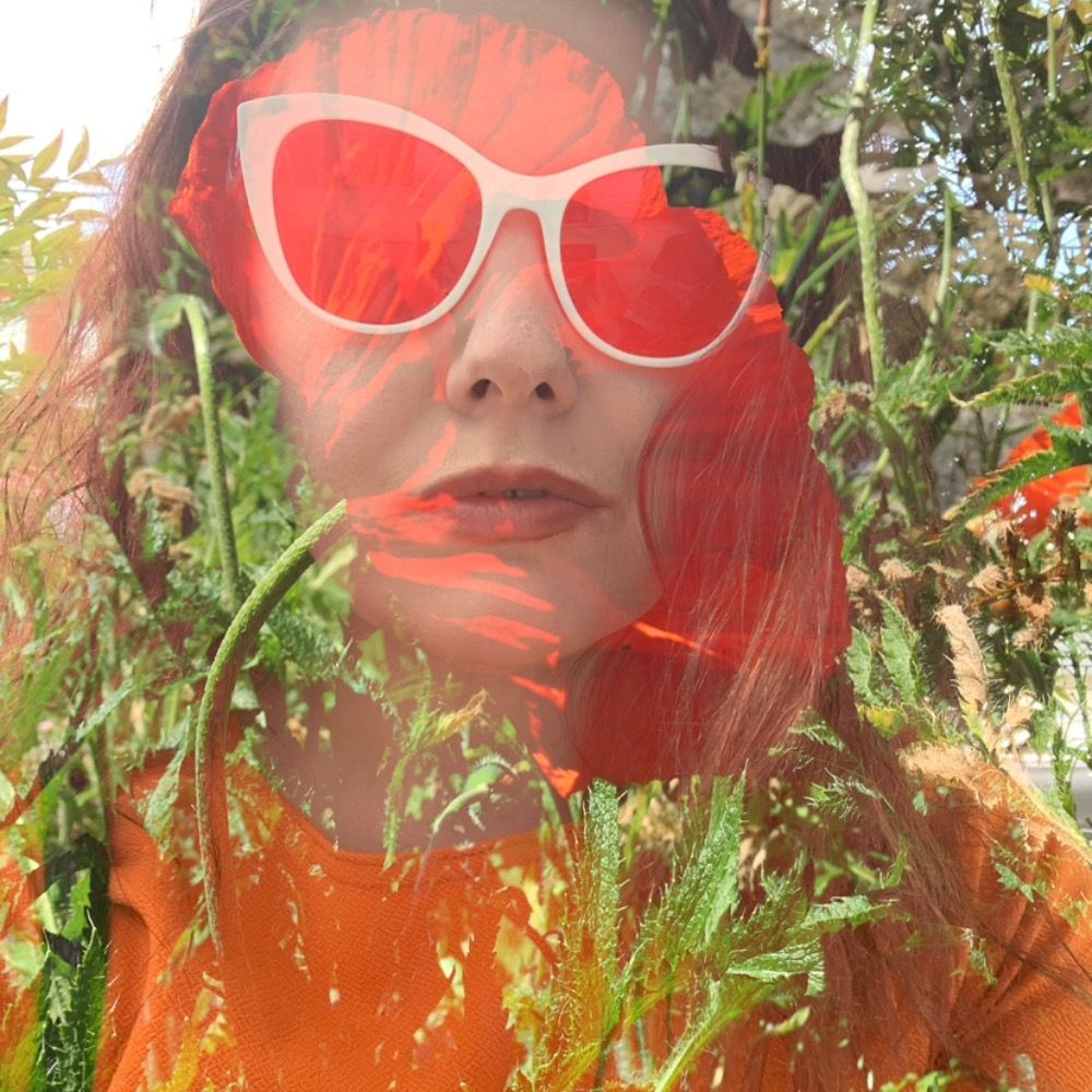 DyeAnne Vaporcott