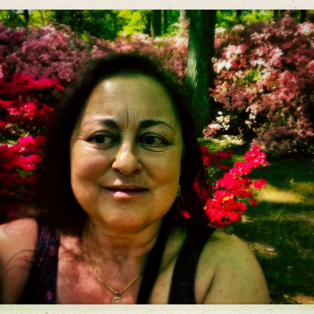melissaib.bsky.social profile picture