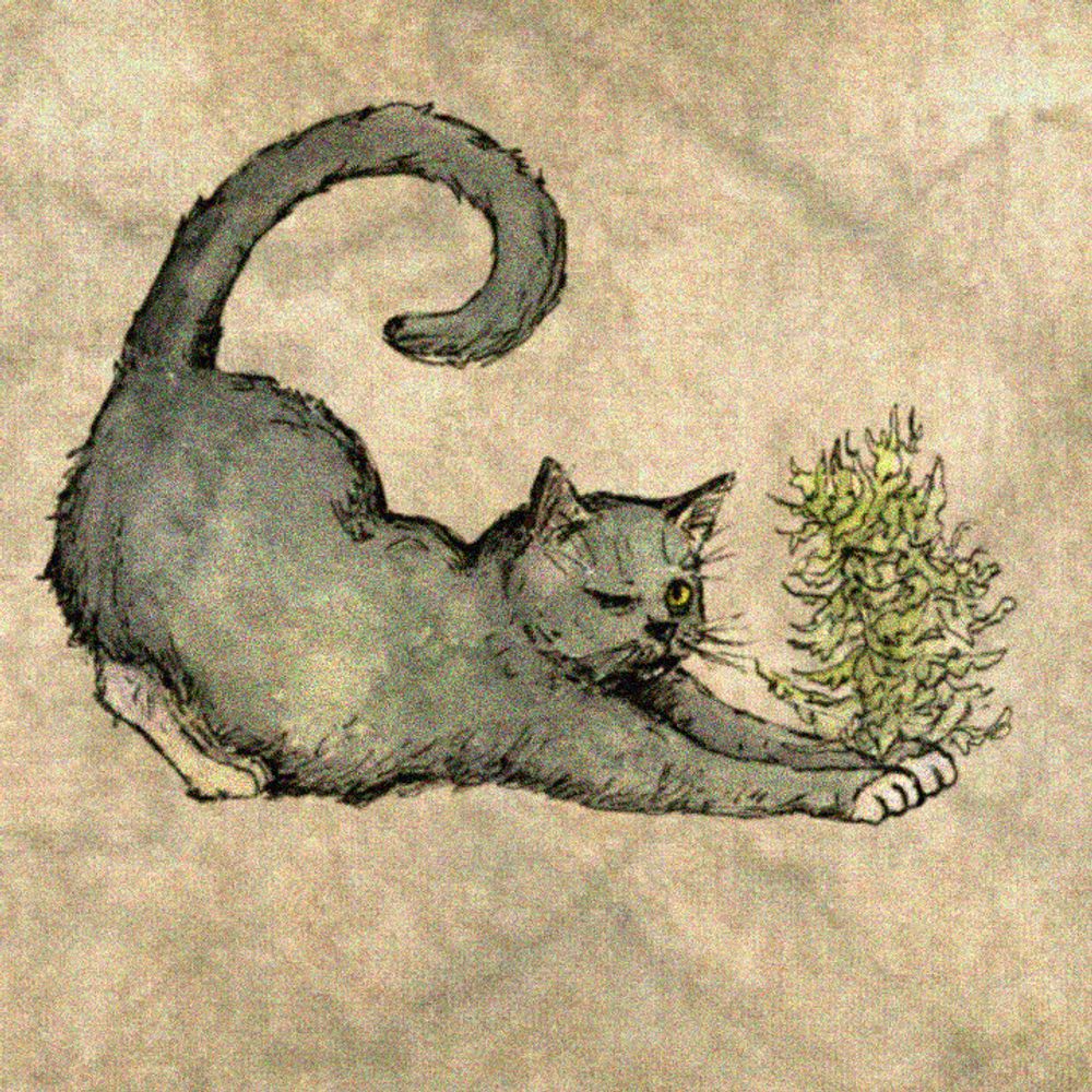 little wormwood 🌿