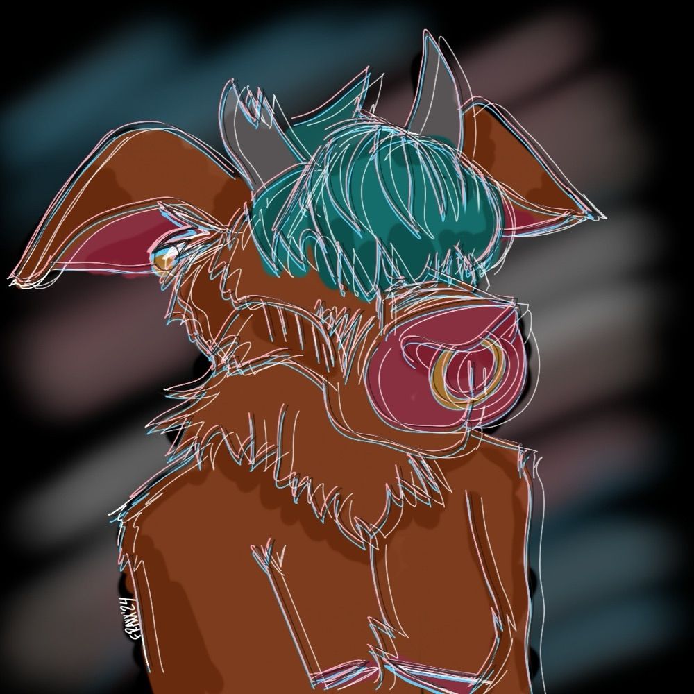 Kodee Wolf