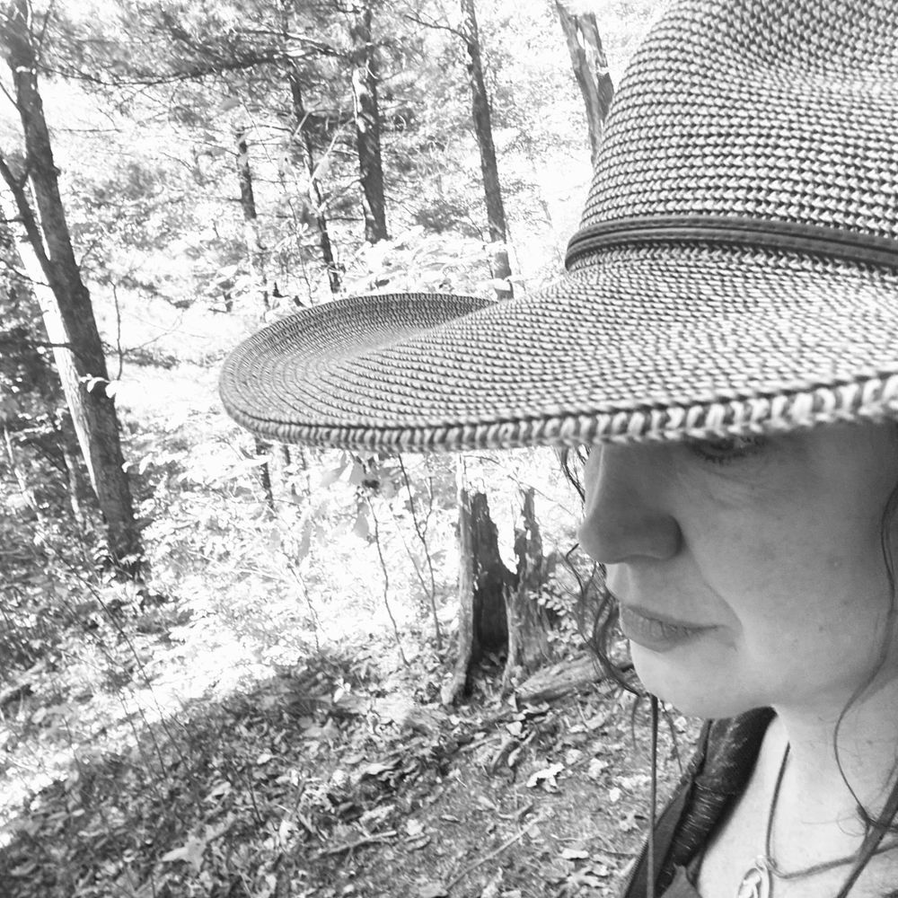mrshal.bsky.social profile picture
