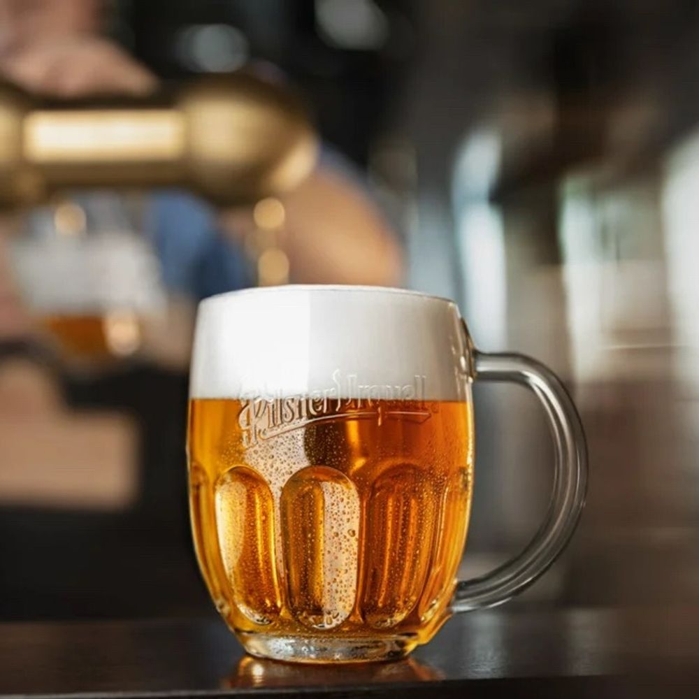 draft beer🍺