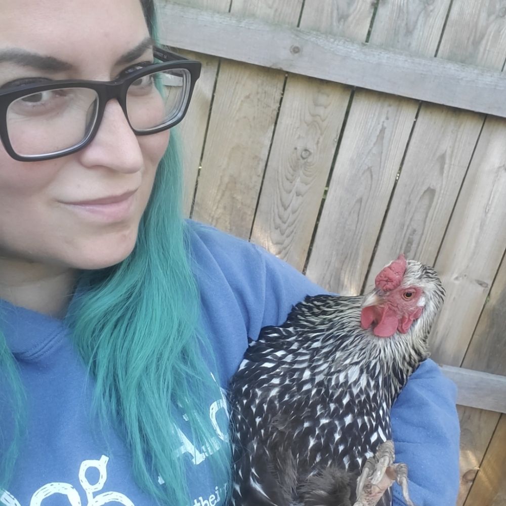 Pet Sitting By Alissa