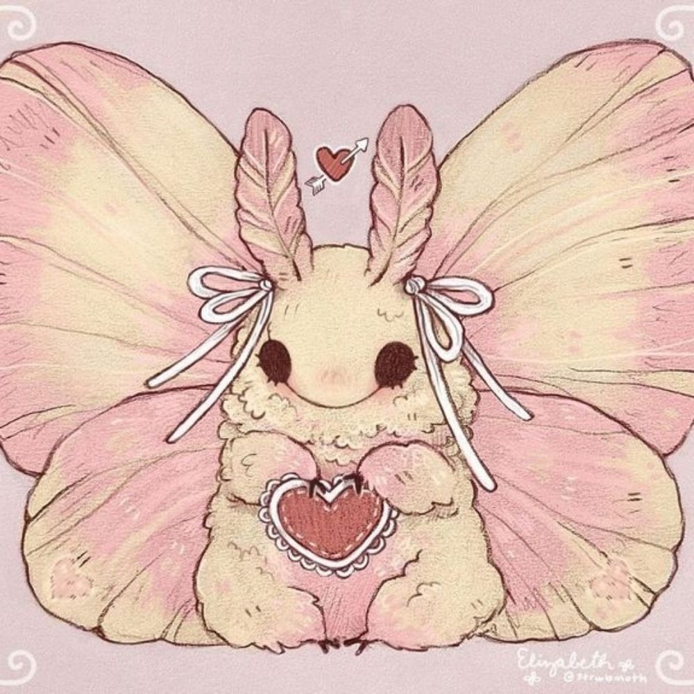 chiffon ૮꒰ ⸝⸝´ ˘ `⸝⸝ ꒱ა‧₊˚♡
