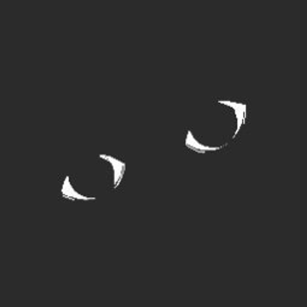 HereOnlyVoid