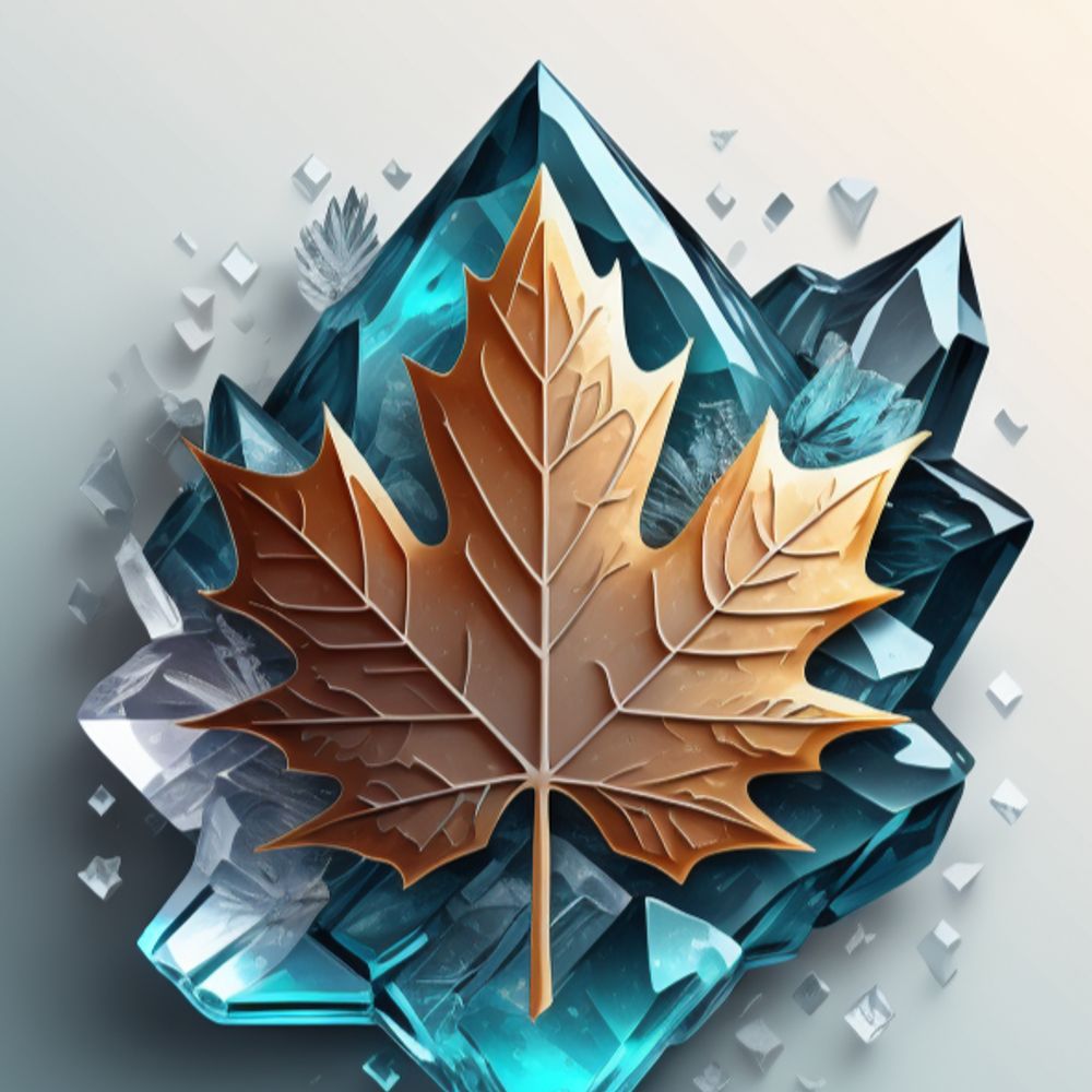 Arctic Maple Studios