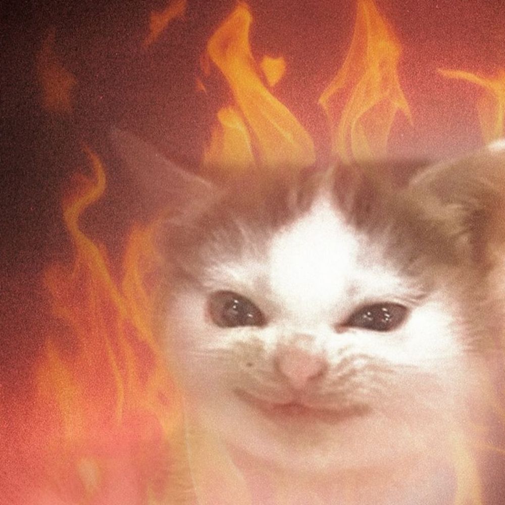・°⋆ ｡˚ ⋆