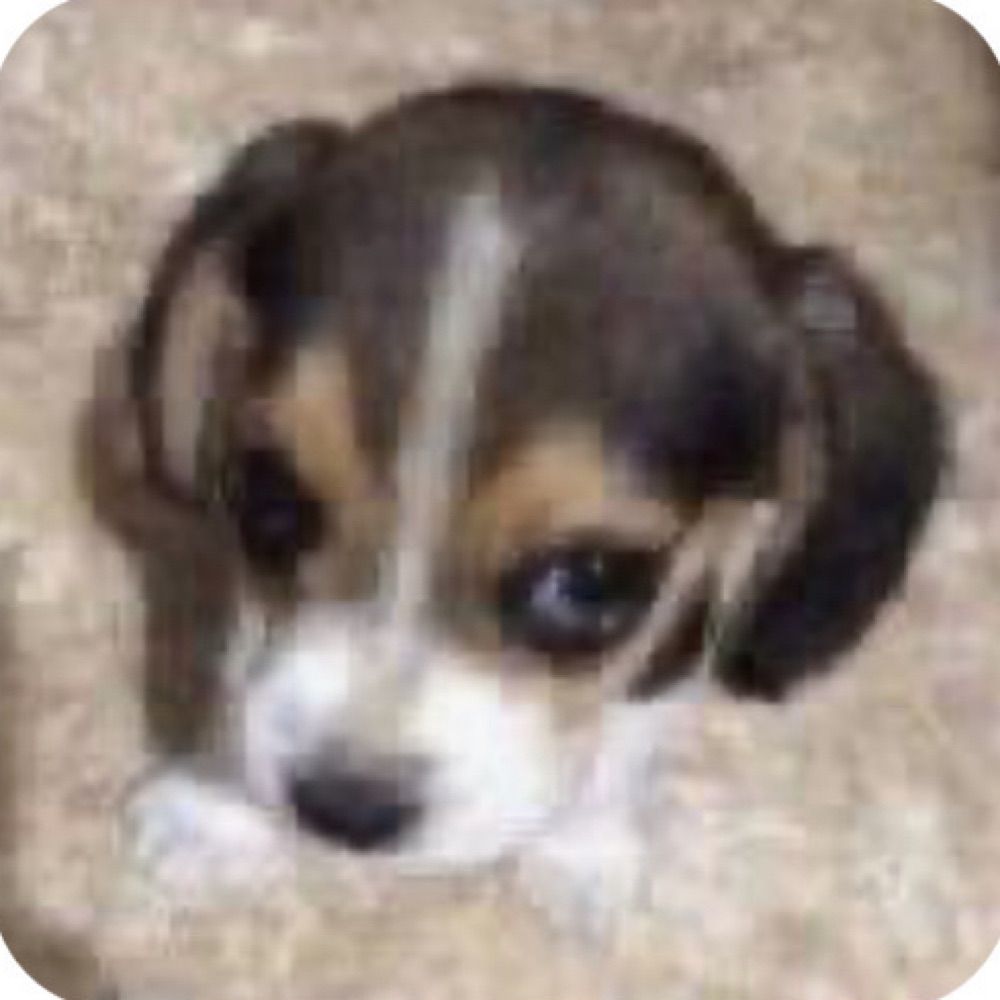 mari duda Ahh +Braba!!