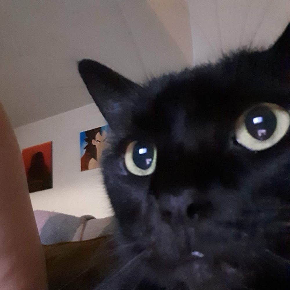 Kitty A