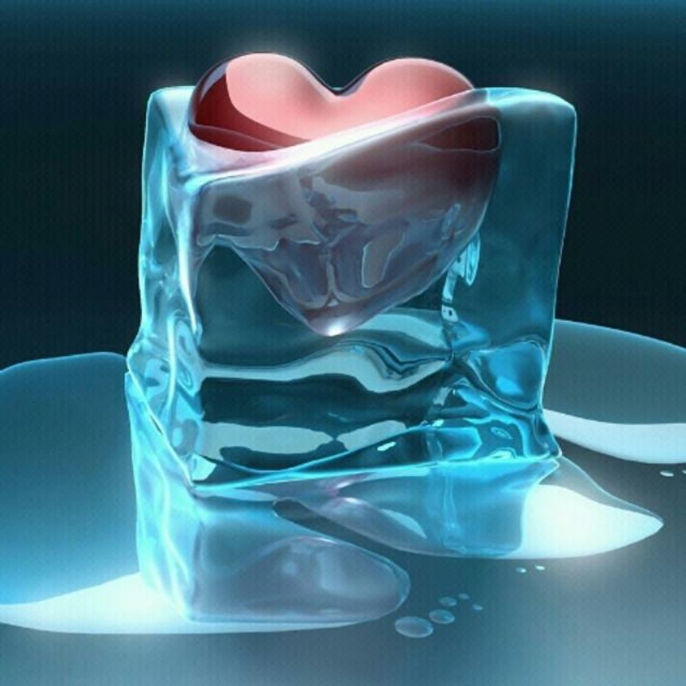bluengel 블루엔젤 
