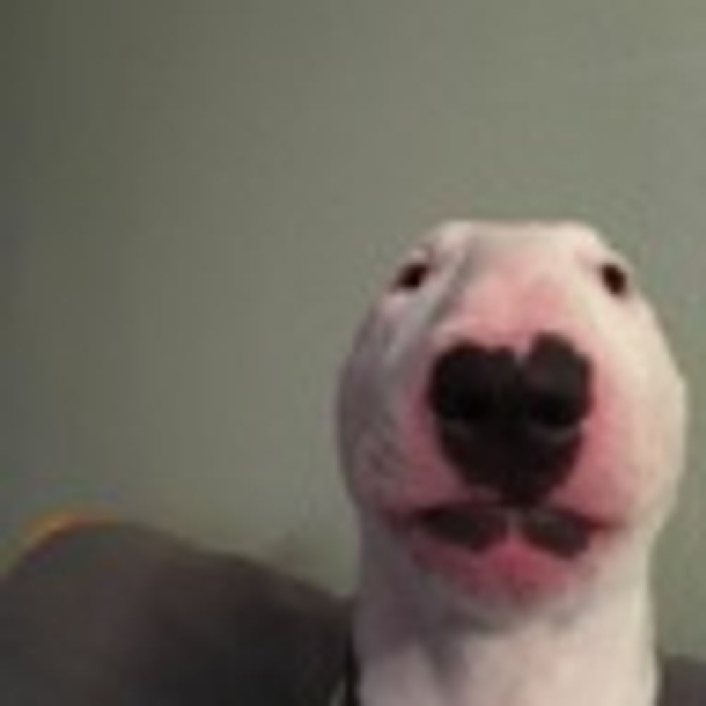 zEfN