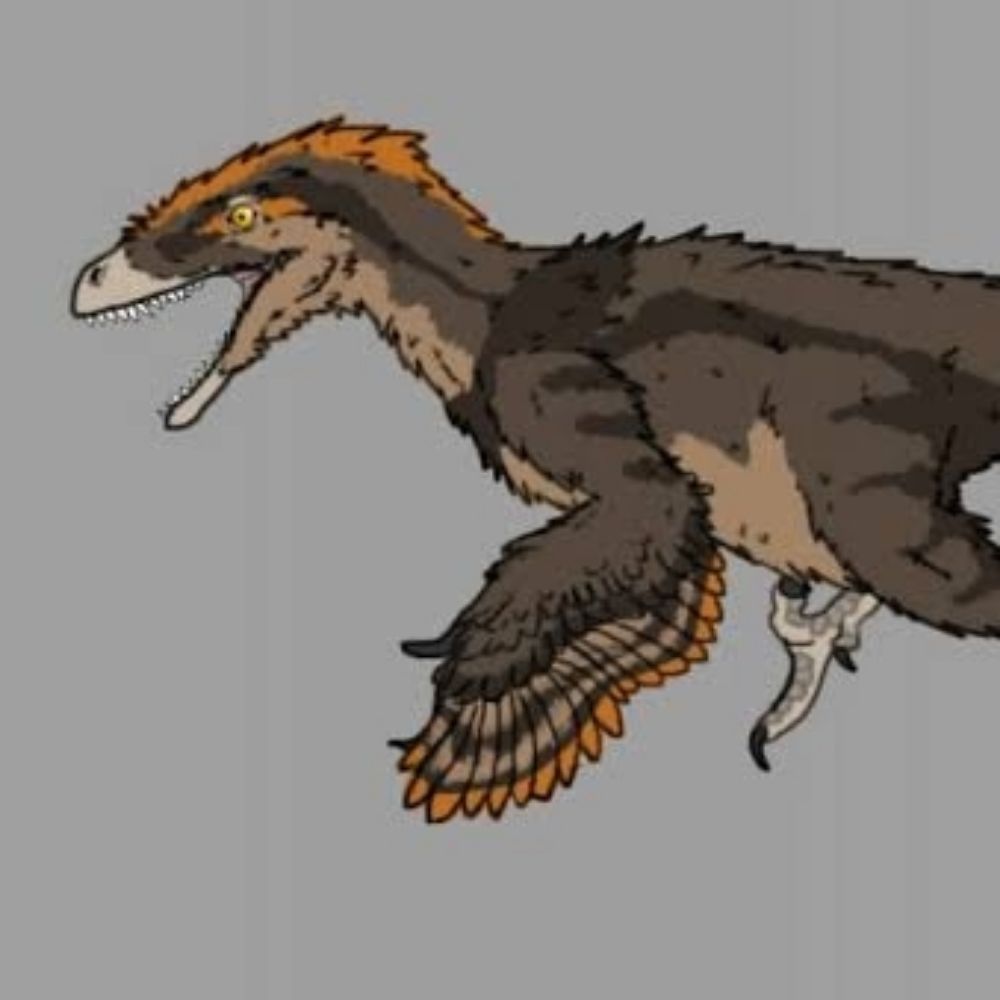 Profile picture utahraptor1.bsky.social