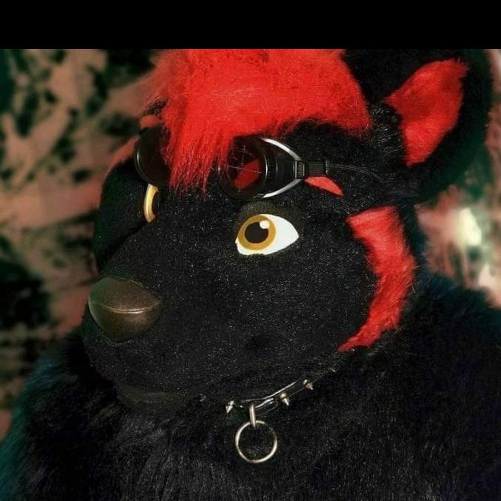 ShadowWolf1979