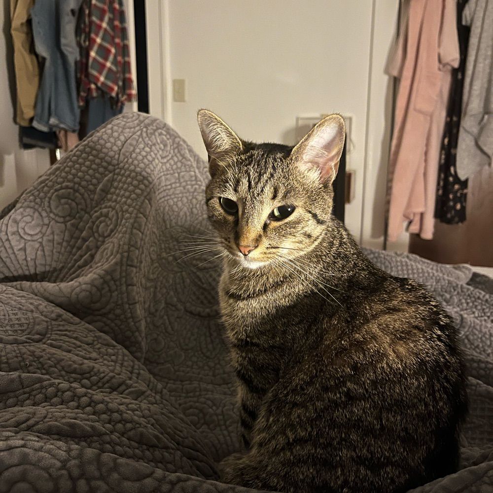 Emily