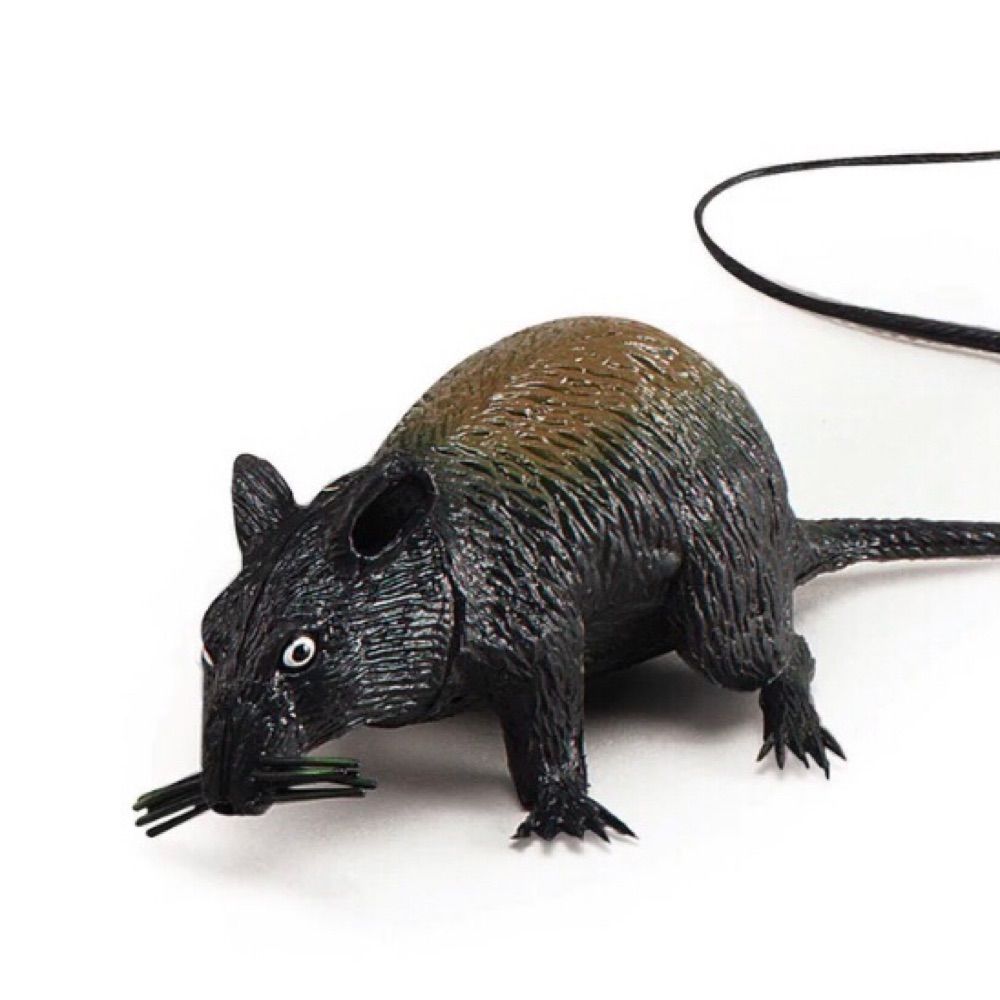 Tha Rat