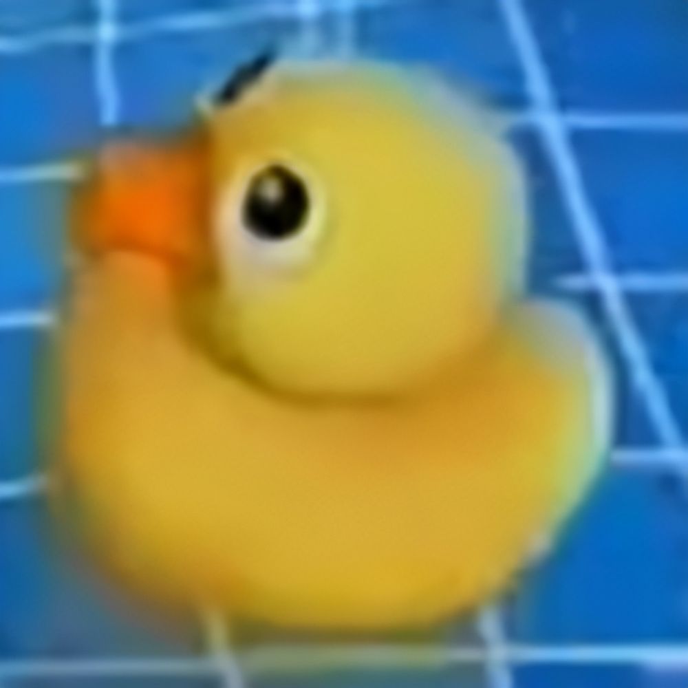 Duck World