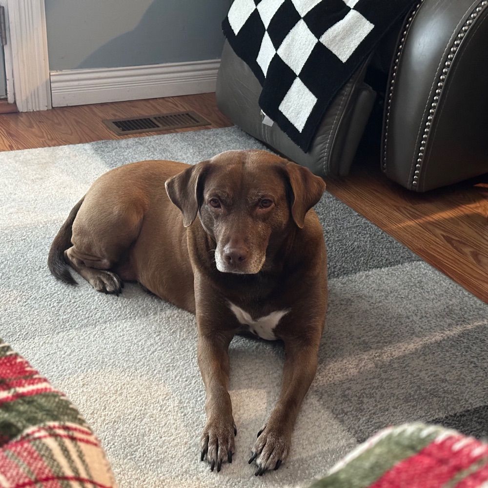 Patti