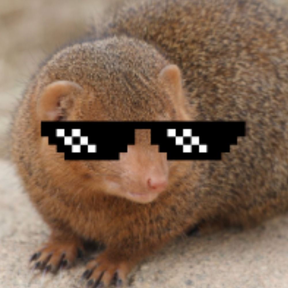 raikie