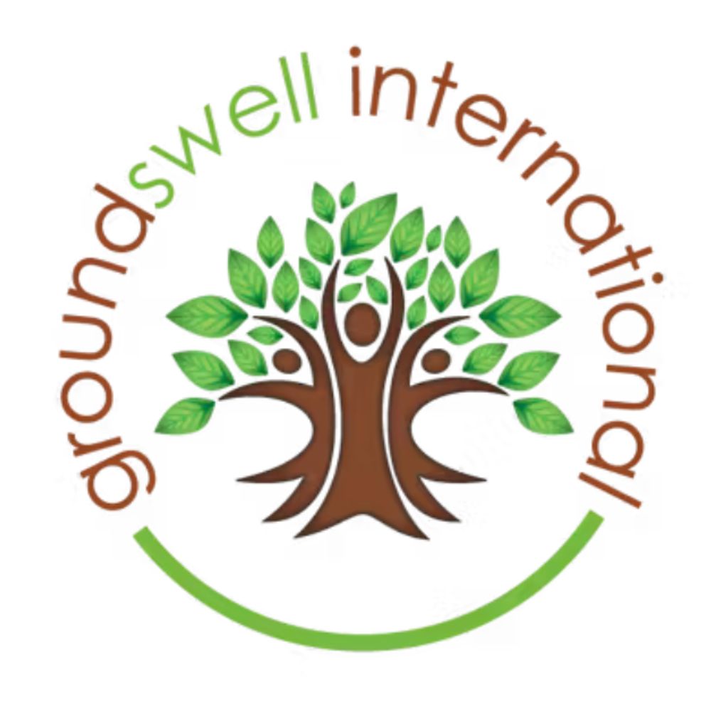 Profile picture groundswellint.bsky.social