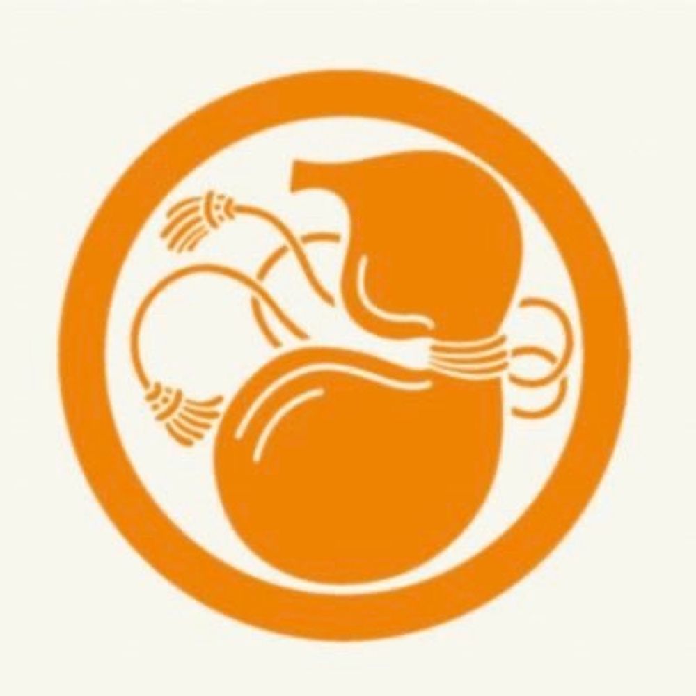 朱鷺珠湖🐈‍⬛次回6月玉響