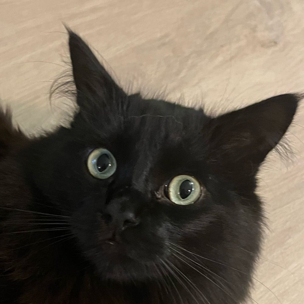 Adam