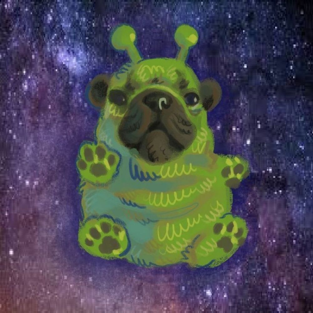 Enolim ʕ⁠·⁠ᴥ⁠·⁠ʔ