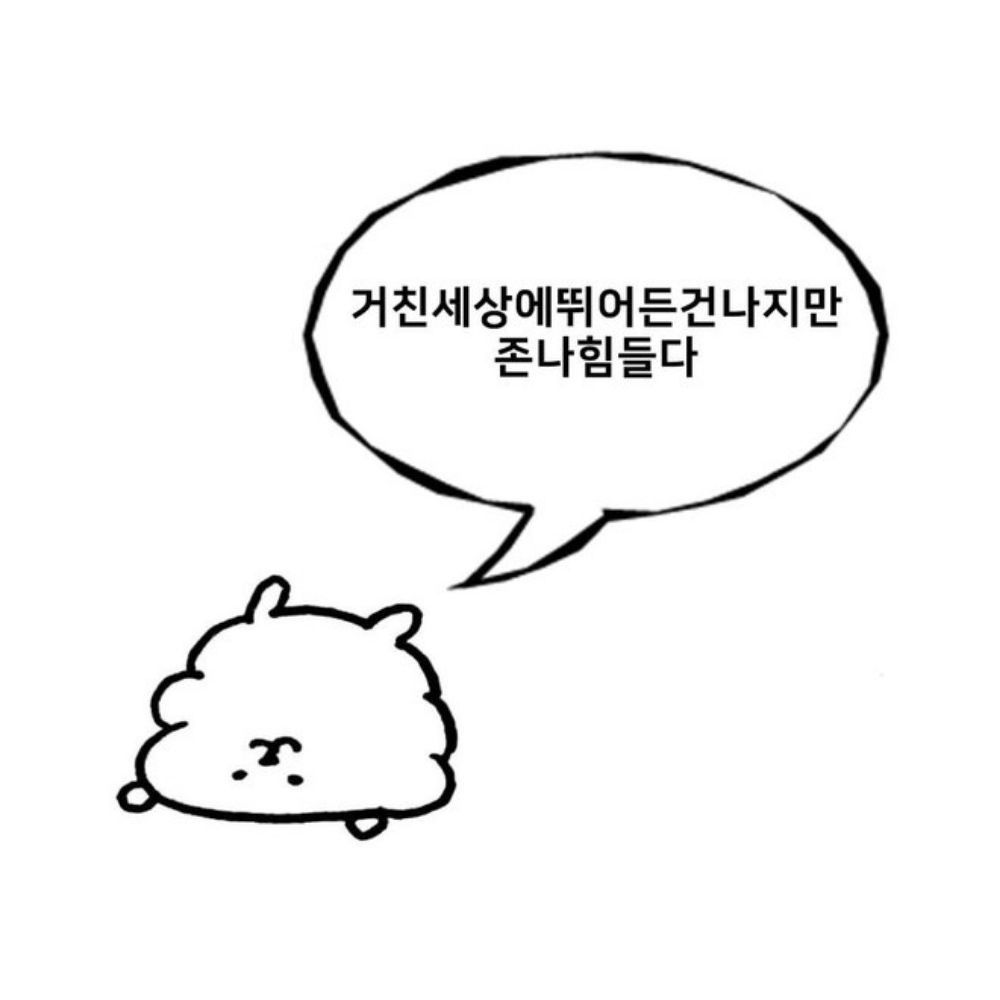 삼오