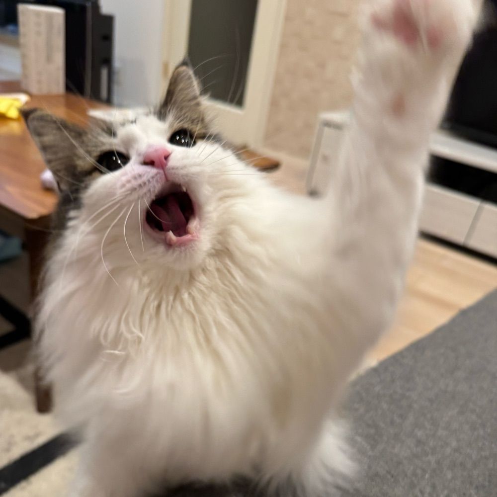 ぽぉー