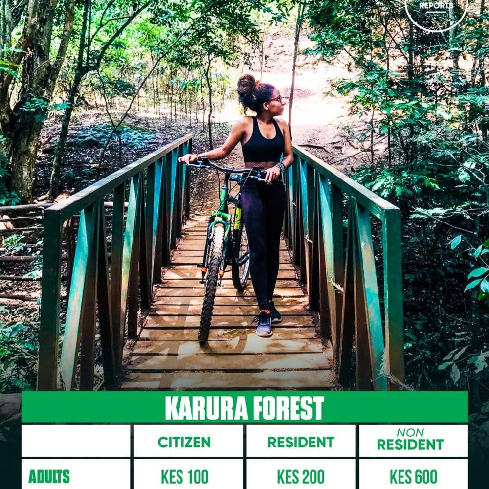 Preserve Kenya's Wildlife, Protect Nature Secure Our Legacy