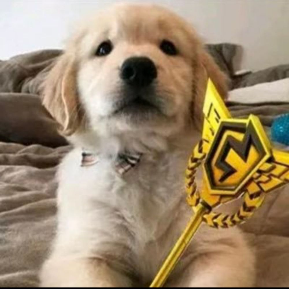 Filipersaomelhordobr