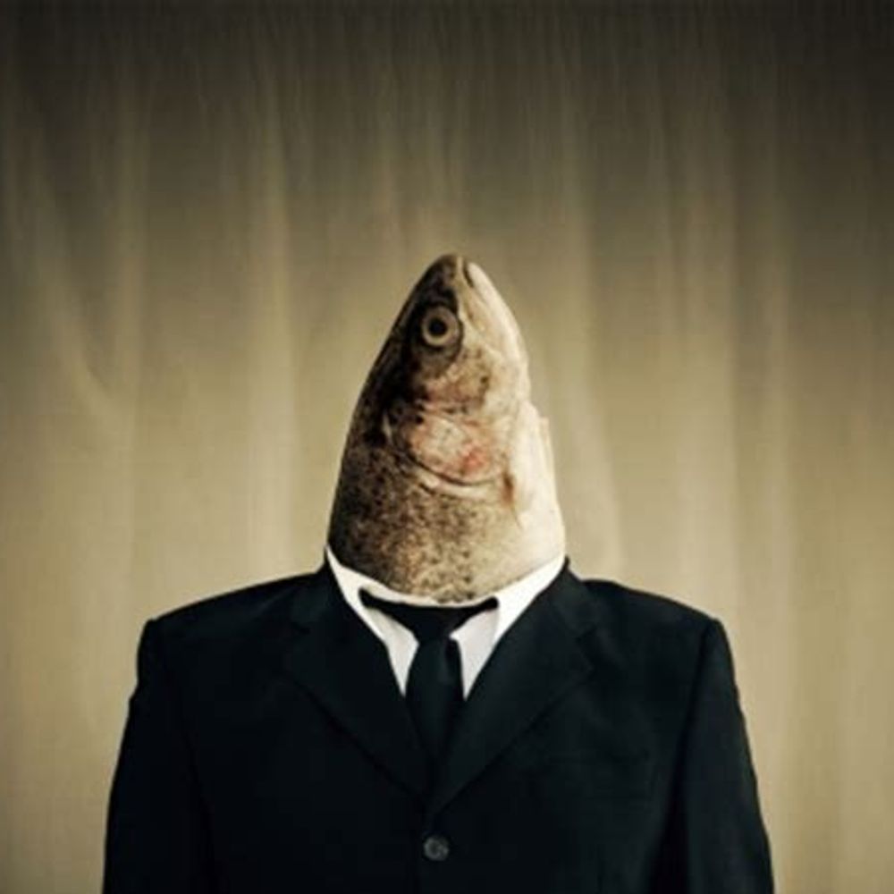 Fish