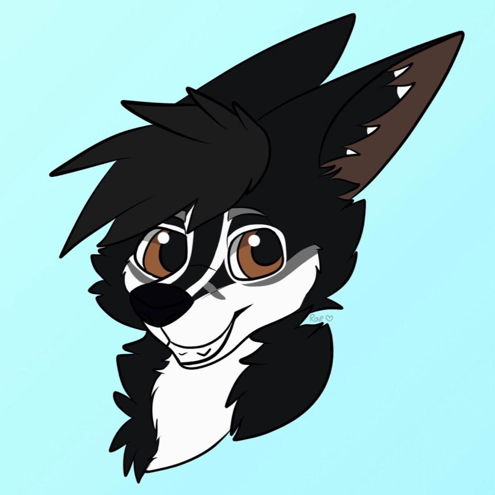 Jake The Furry 