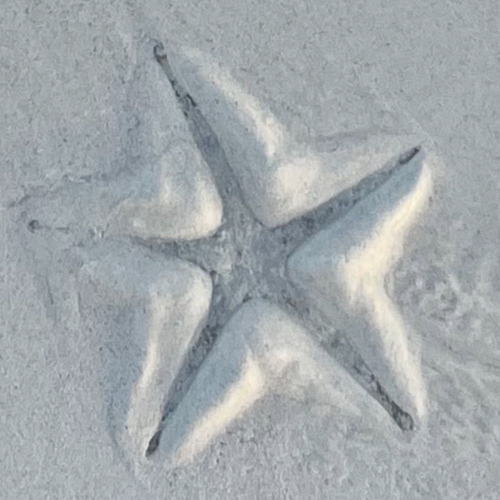 ~ GéraldineCisterninoCaudron ~