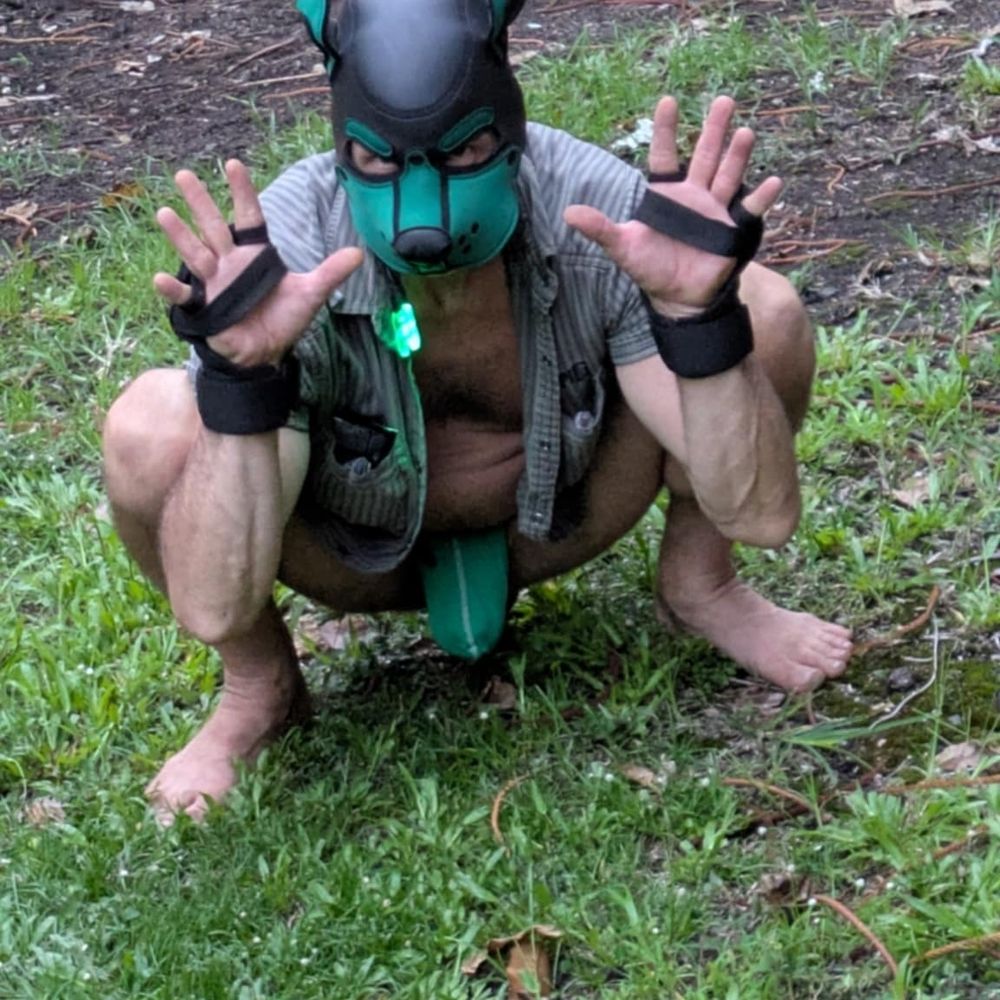 K9-HUNTER