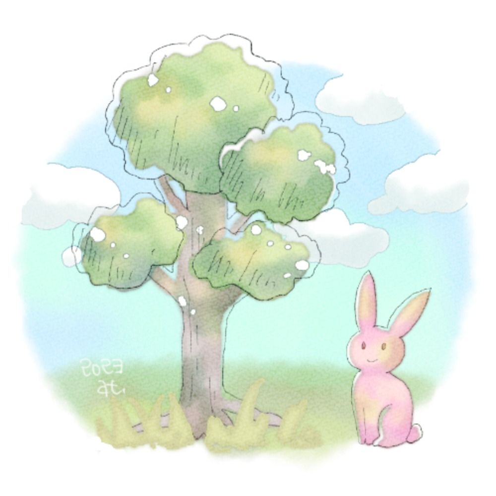 at🐰