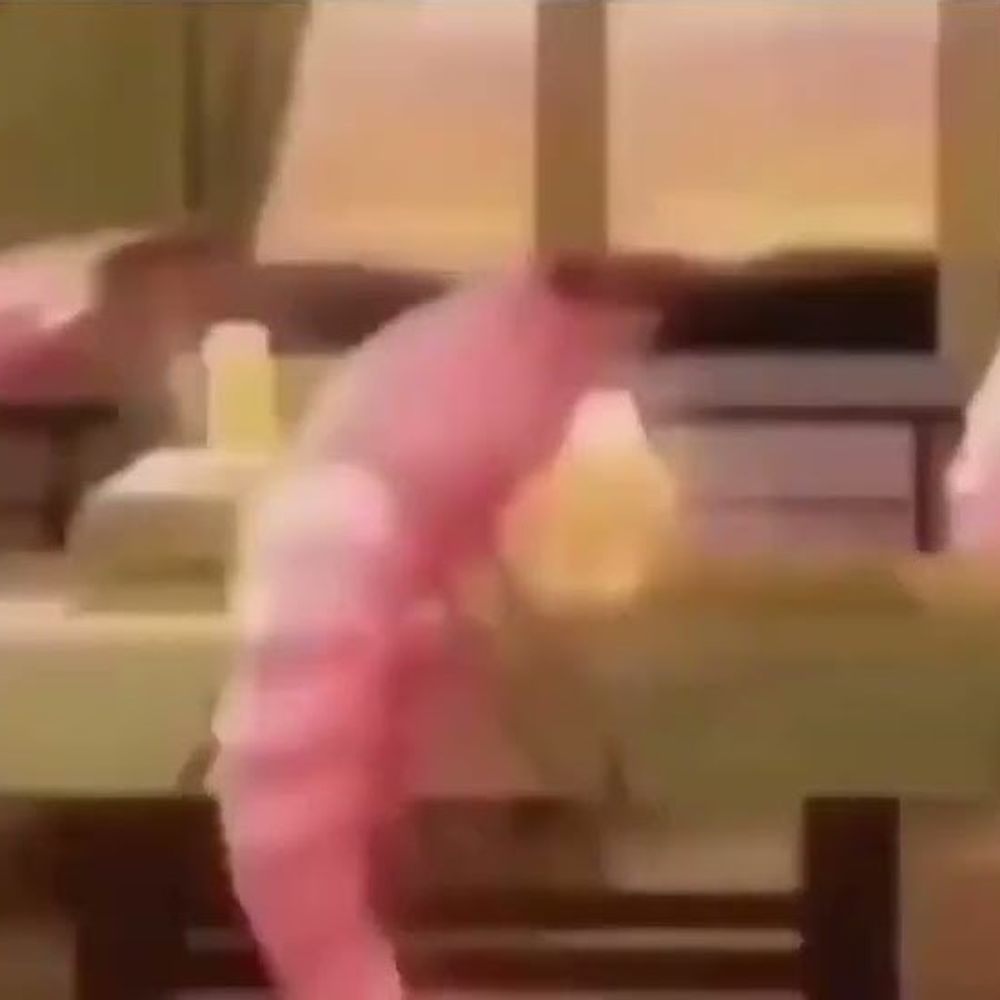 JafShrimp