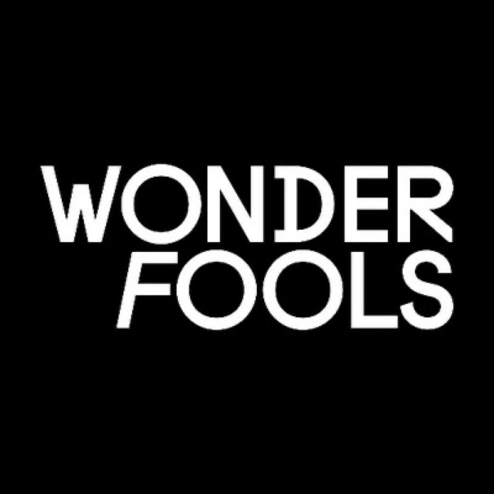 Wonder Fools