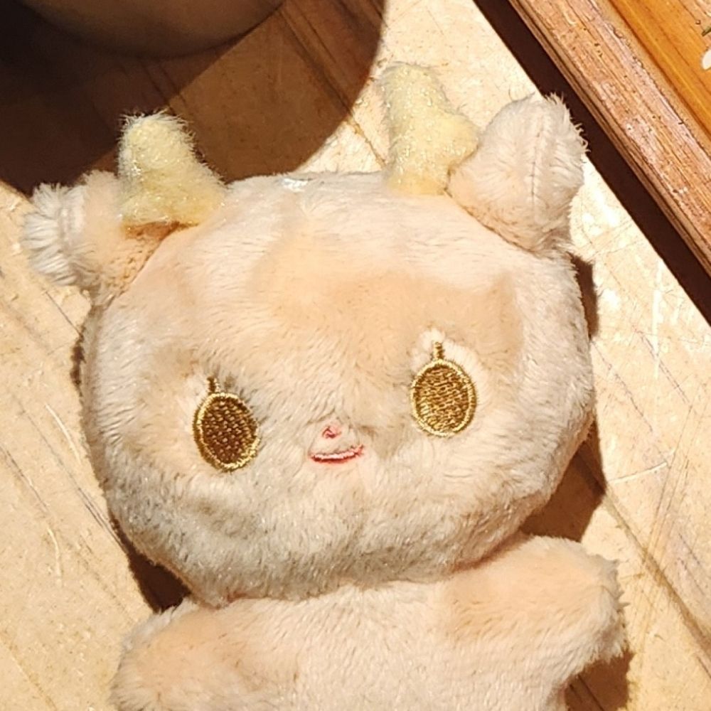 덕질하는 우동