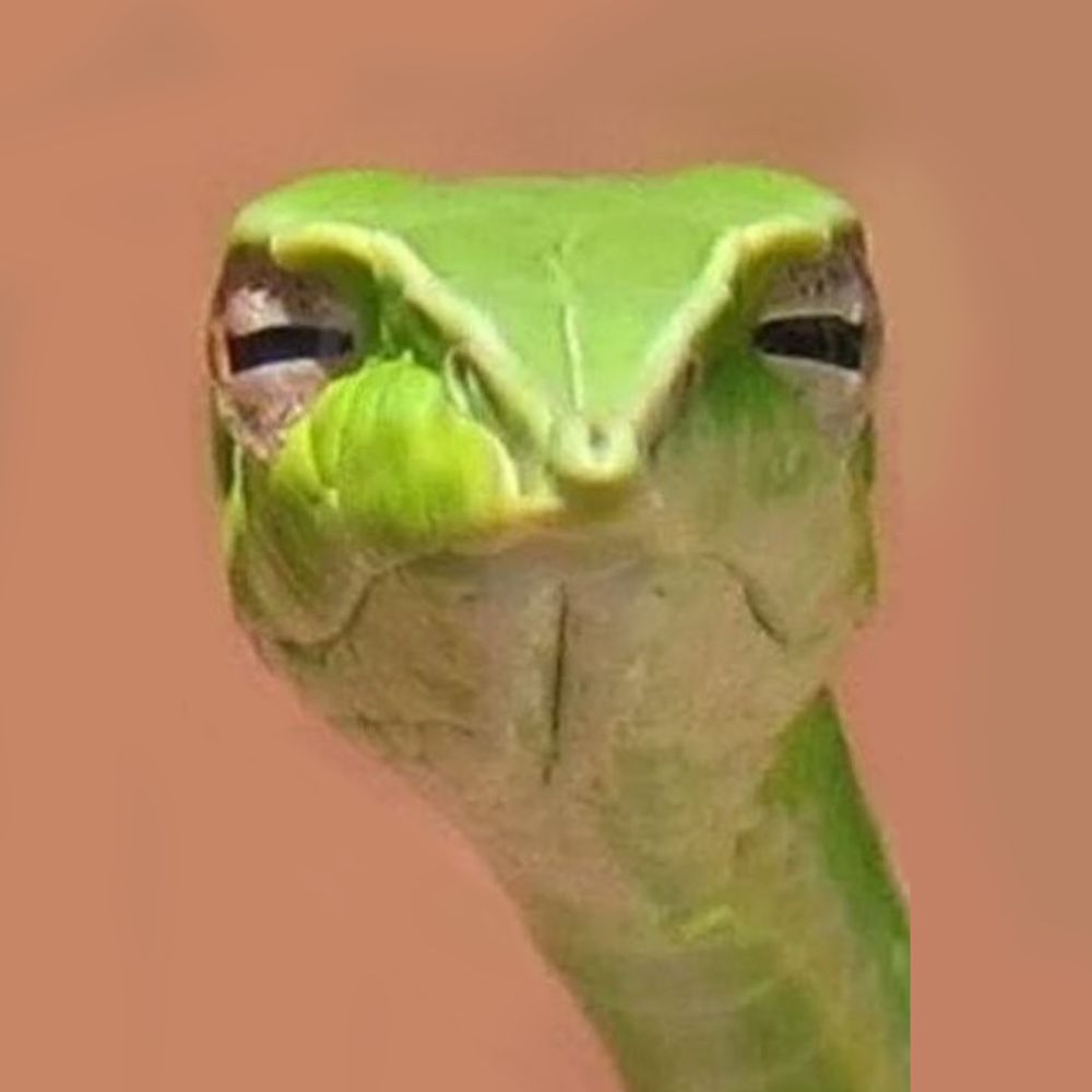 Flappyneudl 🔞 🐍