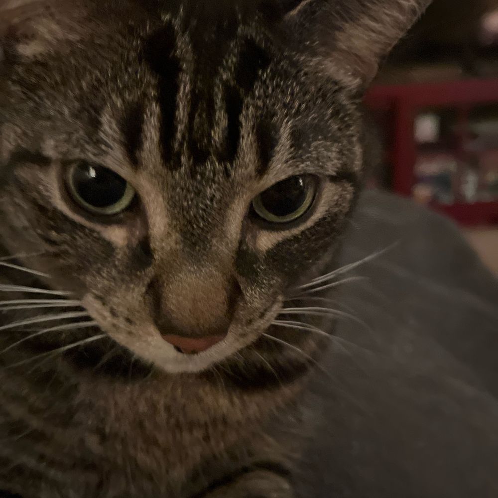 Joan