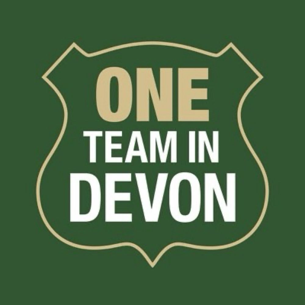 One Team In Devon