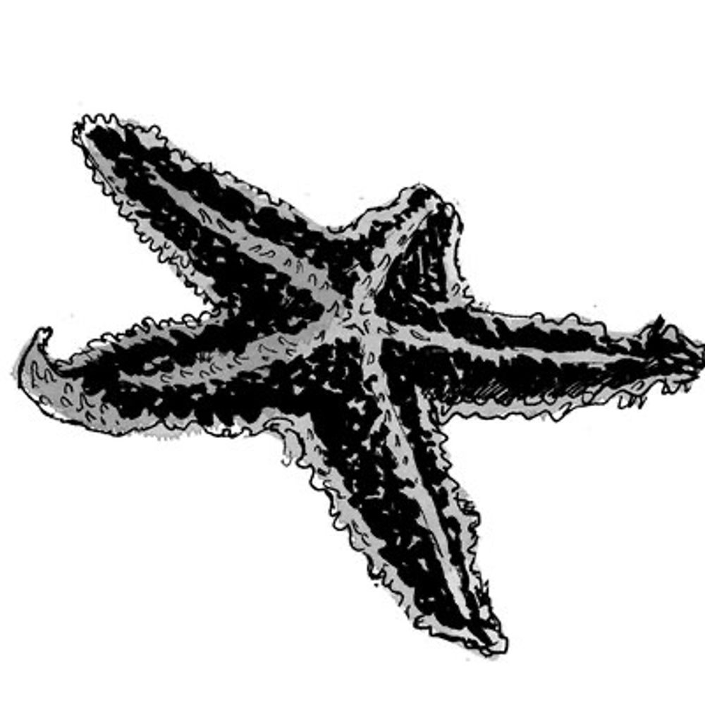鷲尾