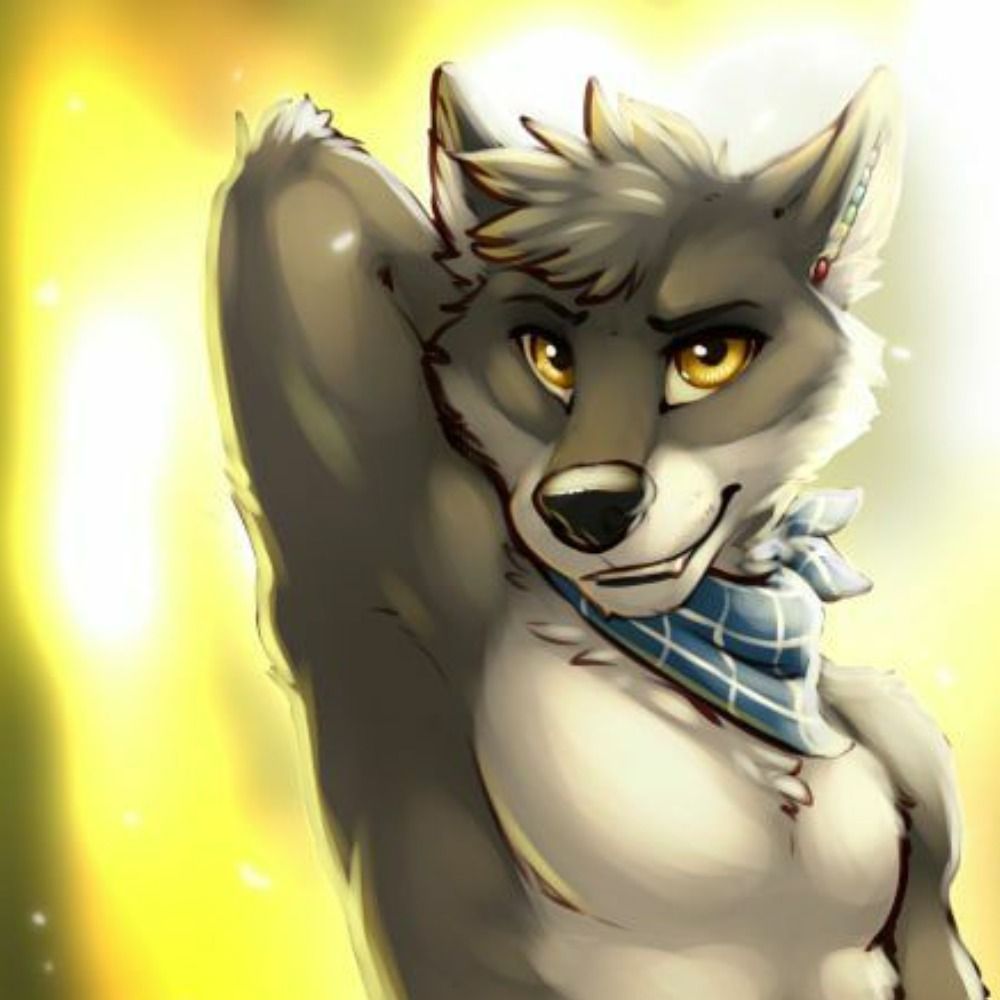 Forrinwolf / Sitkahusky's avatar