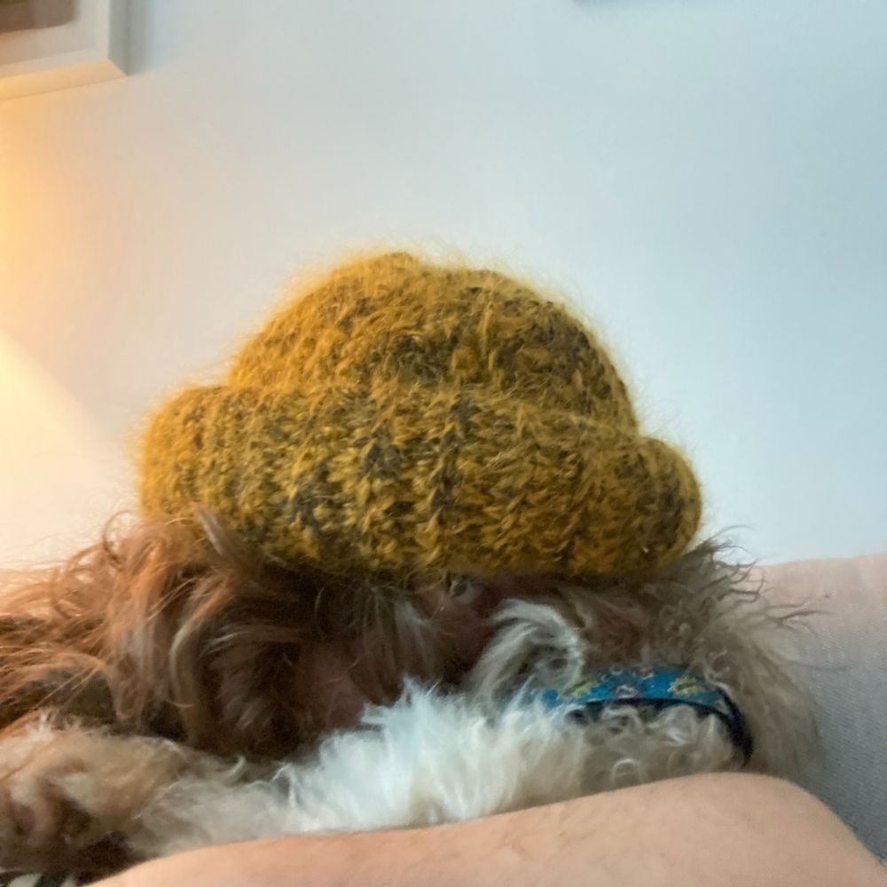 Stella