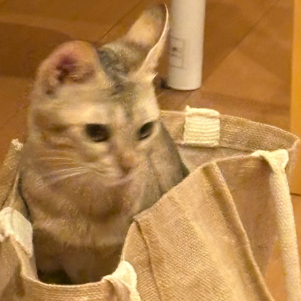 ぴぃむ氏